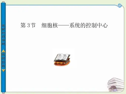 生物必修一  第三章第3节
