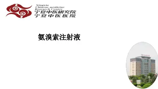 氨溴索注射液ppt课件