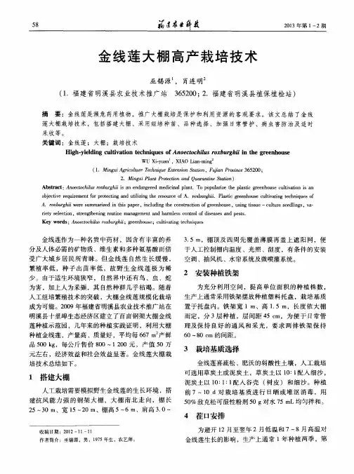金线莲大棚高产栽培技术