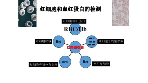红细胞和血红蛋白的检测