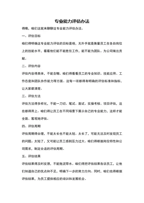 专业能力评估办法