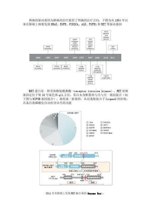 肺癌新驱动基因-RET融合基因