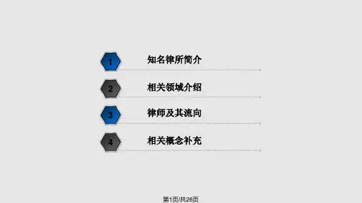 律师事务所PPT课件