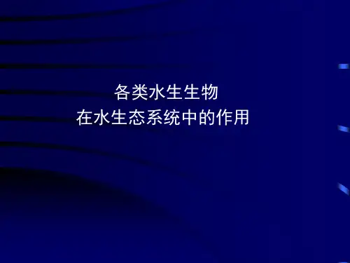 03 各类生物在水生态系统中的作用