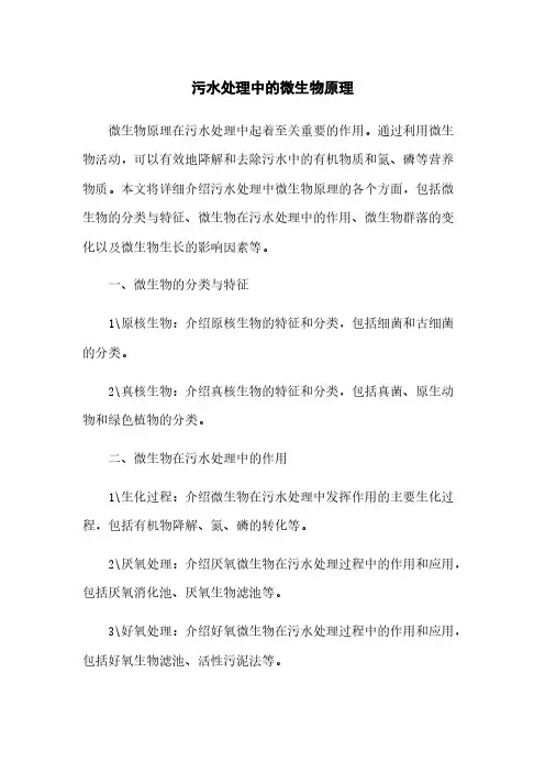 污水处理中的微生物原理
