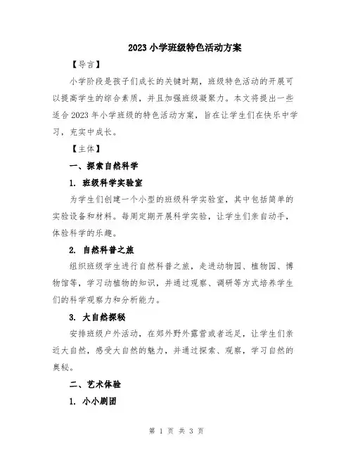 2023小学班级特色活动方案