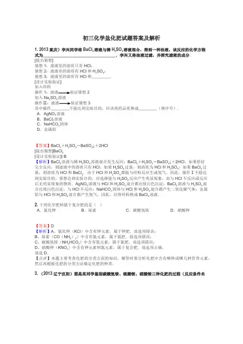 初三化学盐化肥试题答案及解析
