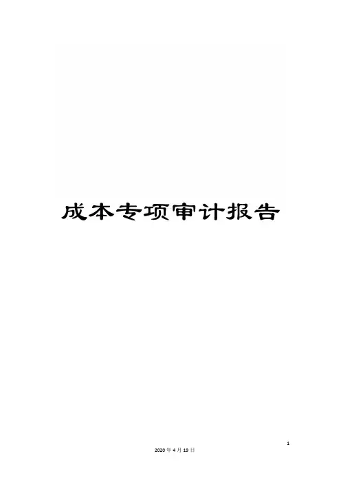 成本专项审计报告