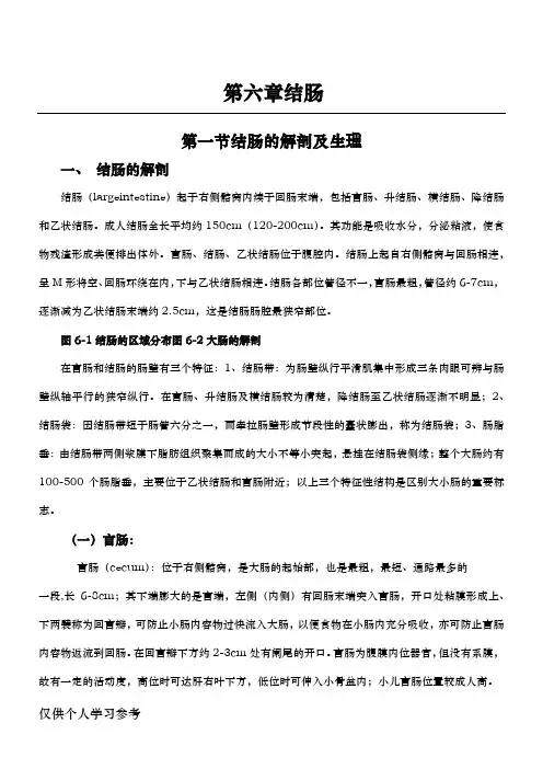 第一节  结肠解剖