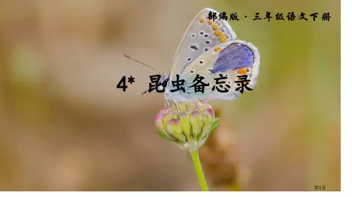 -4-昆虫备忘录市公开课金奖市赛课一等奖课件