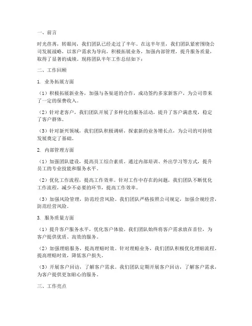 保险半年工作总结团队