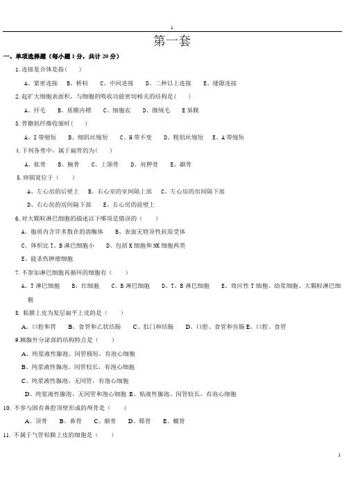 人体解剖学题库