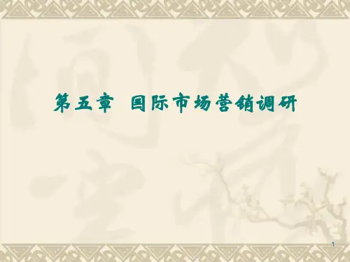 第5章、国际市场营销调研