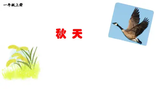 秋天(公开课)