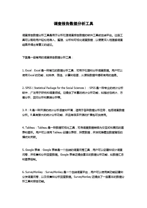 调查报告数据分析工具