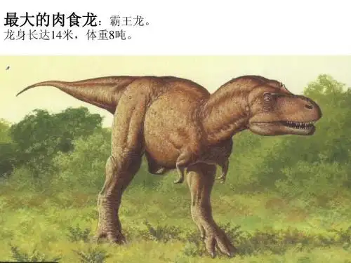 二年级下册 语文31恐龙的灭绝 课件 PPT