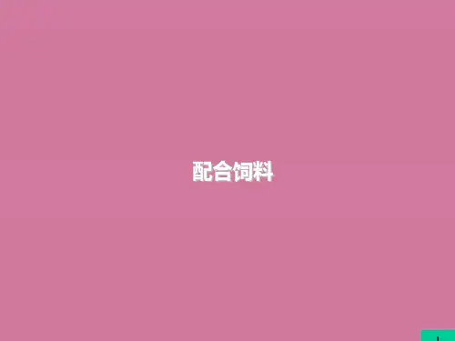 配合饲料ppt课件