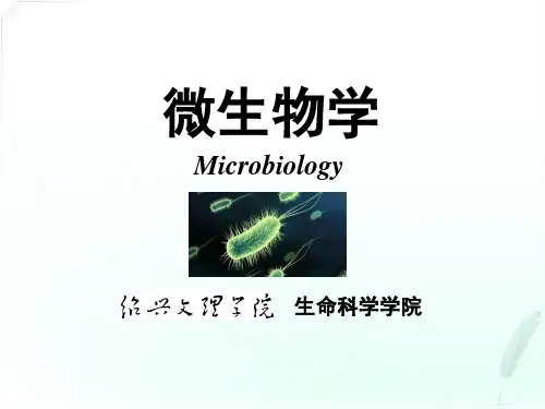 微生物学--病毒