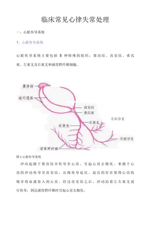 临床常见心律失常处理