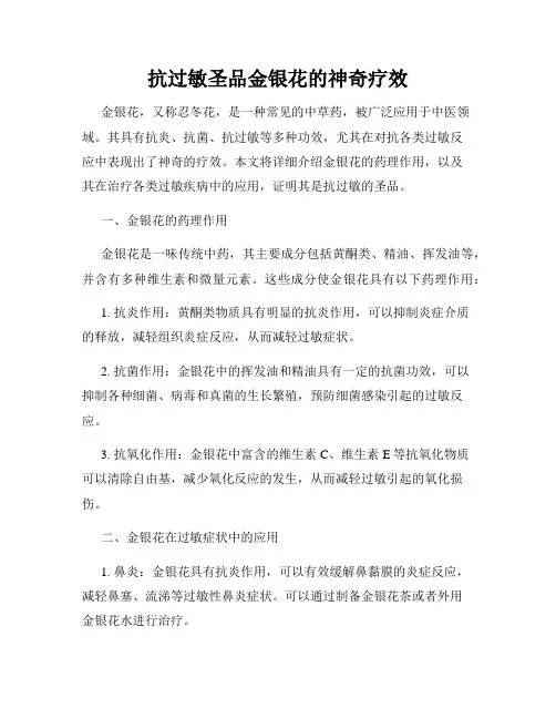 抗过敏圣品金银花的神奇疗效