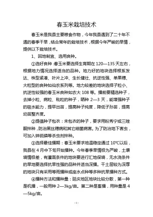 春玉米栽培技术