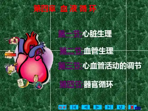 血液循环
