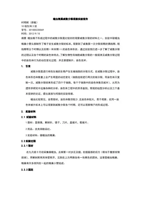 蝗虫精巢减数分裂观察实验报告-时明辉
