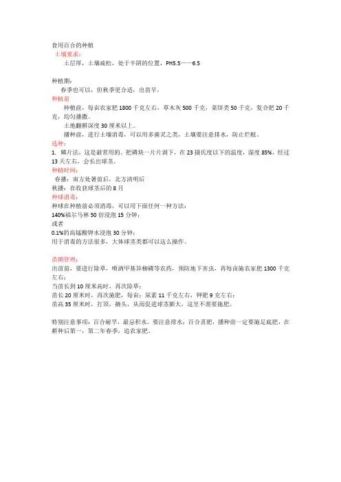 食用百合的种植