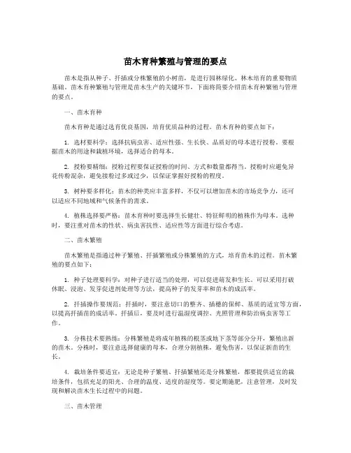 苗木育种繁殖与管理的要点