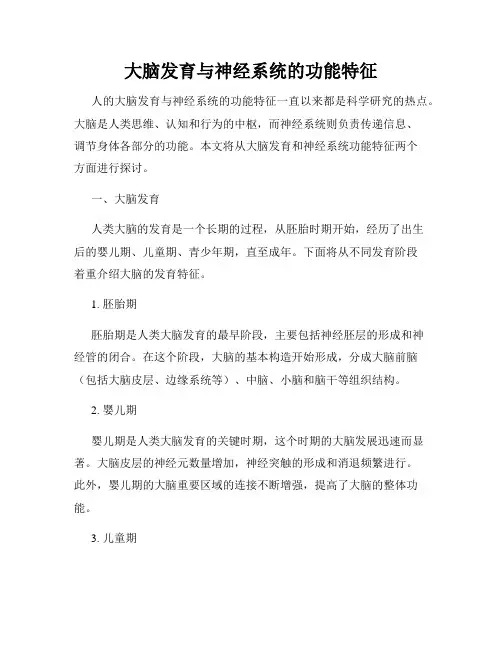 大脑发育与神经系统的功能特征