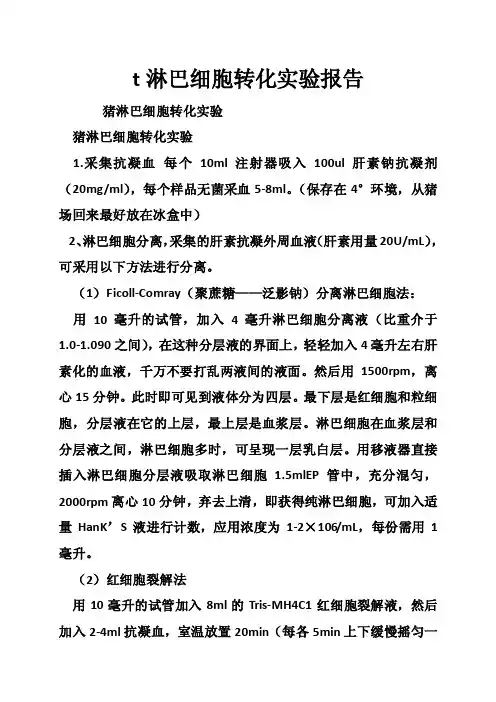 t淋巴细胞转化实验报告