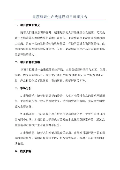 果蔬酵素生产线建设项目可研报告