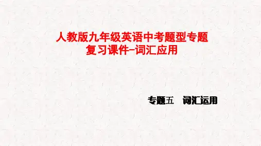 人教版九年级英语中考题型专题复习课件-词汇应用