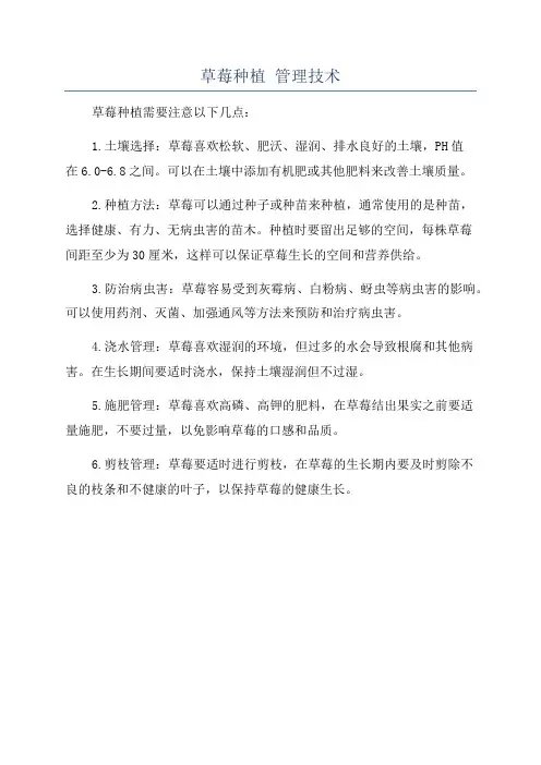 草莓种植 管理技术