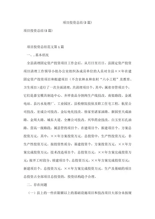 项目投资总结(5篇)