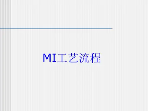 MI工艺流程