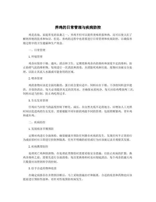 养鸡的日常管理与疾病防控