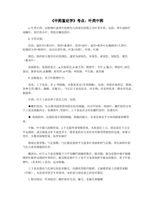 《中药鉴定学》考点：叶类中药