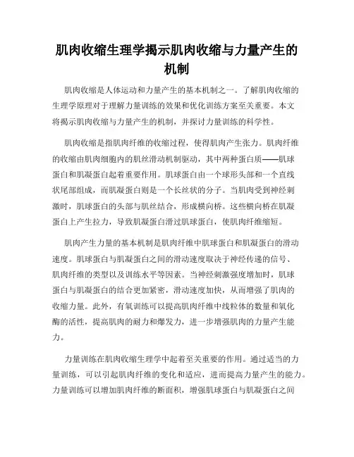 肌肉收缩生理学揭示肌肉收缩与力量产生的机制