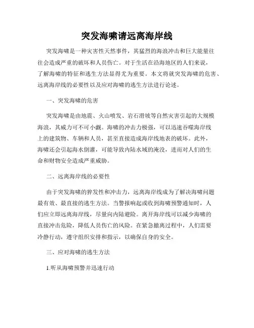 突发海啸请远离海岸线