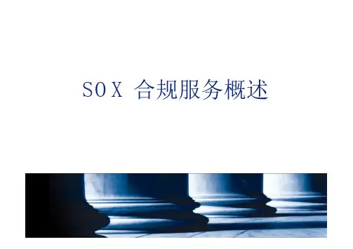 40控制目标举例SOX合规工作流...