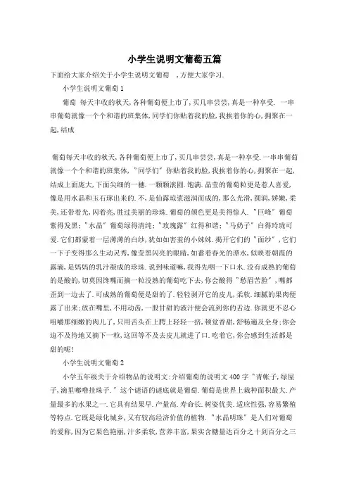 小学生说明文葡萄五篇