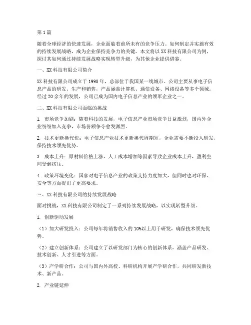 公司持续发展战略案例(2篇)