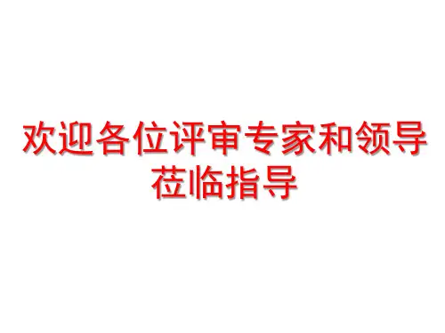 安全标准化体系运行情况汇报