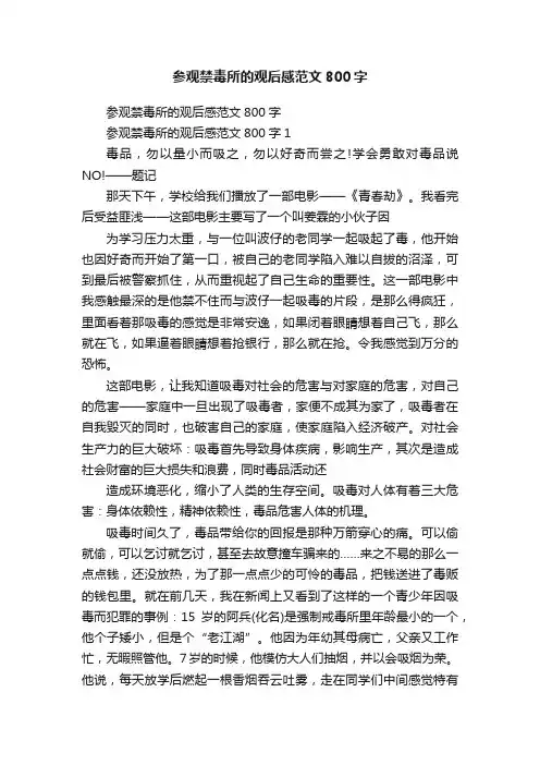 参观禁毒所的观后感范文800字