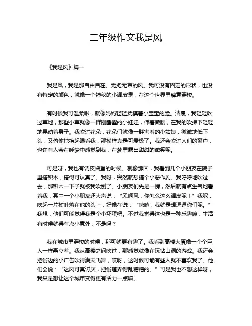 二年级作文我是风