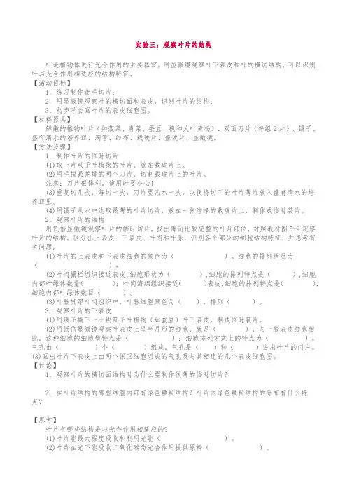 中考生物实验操作考试