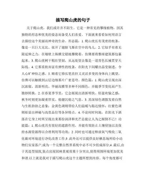 描写爬山虎的句子
