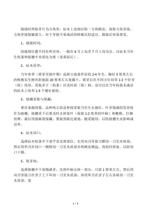 核桃树常用嫁接方法方块嫁接技术