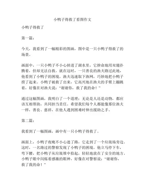 小鸭子得救了看图作文